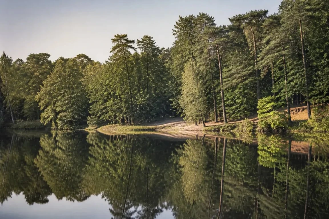 Forêt de loches, étang du Pas-aux-Ânes au cœur du massif