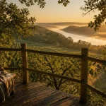Hébergement insolite en Touraine : cabane vignes à la golden hour