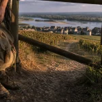 Randonnée touraine : chaussures dans un sentier de terre vers les vignes et la Loire