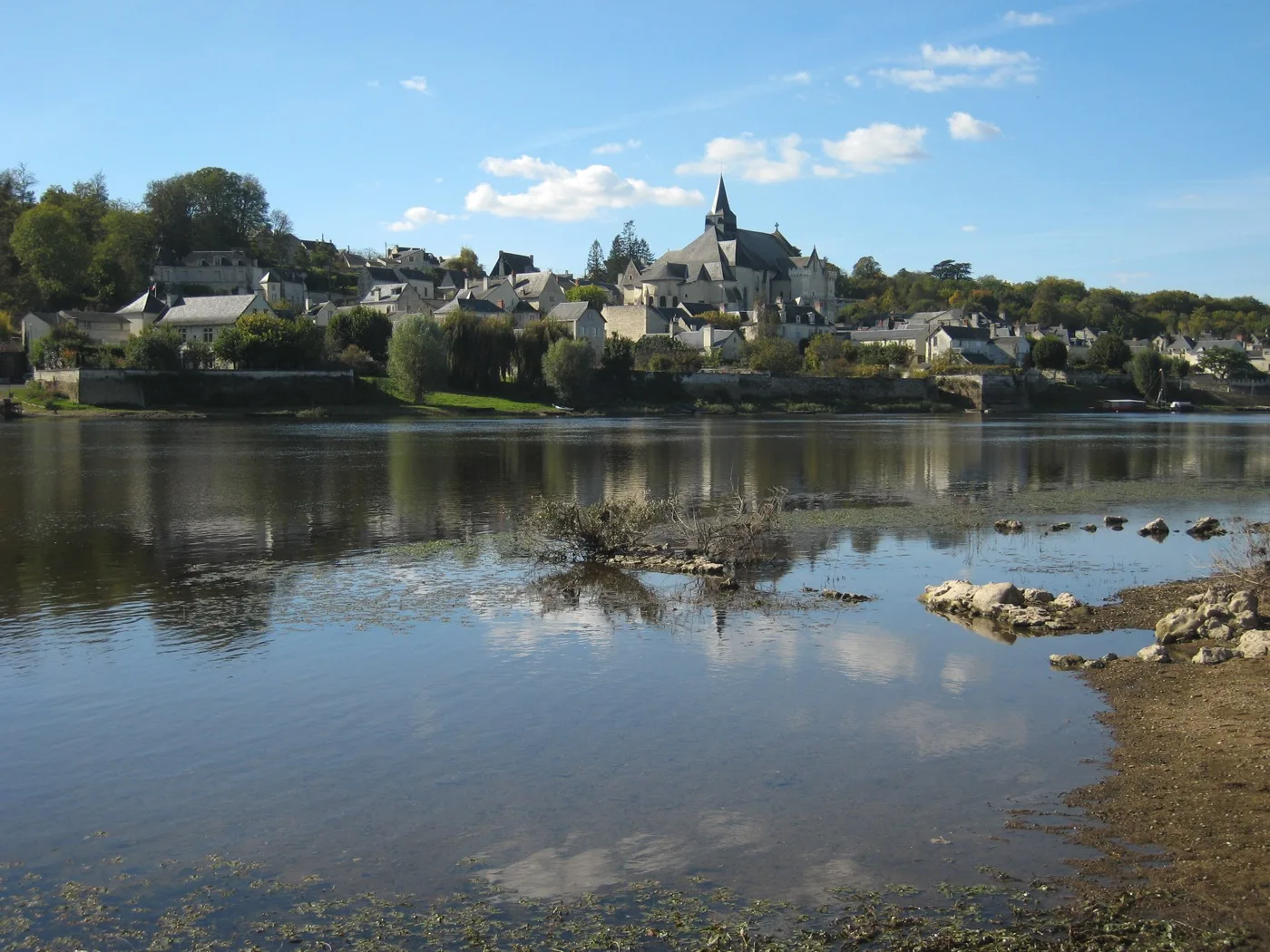 Vue de Candes-Saint-Martin avec sa collégiale et les maisons du bourg