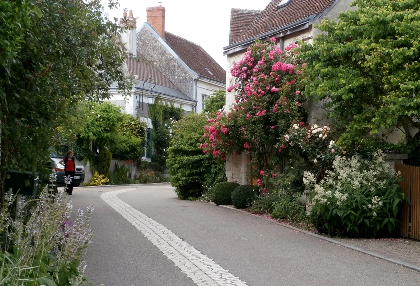 Maisons et plantations dans la rue du Lavoir à Chédigny