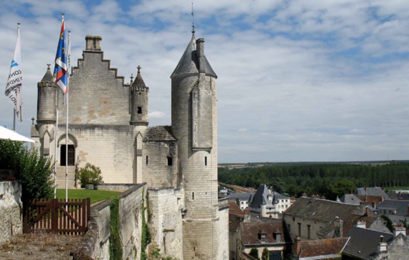 Vue sur les toits et les clochers de Loches depuis le château